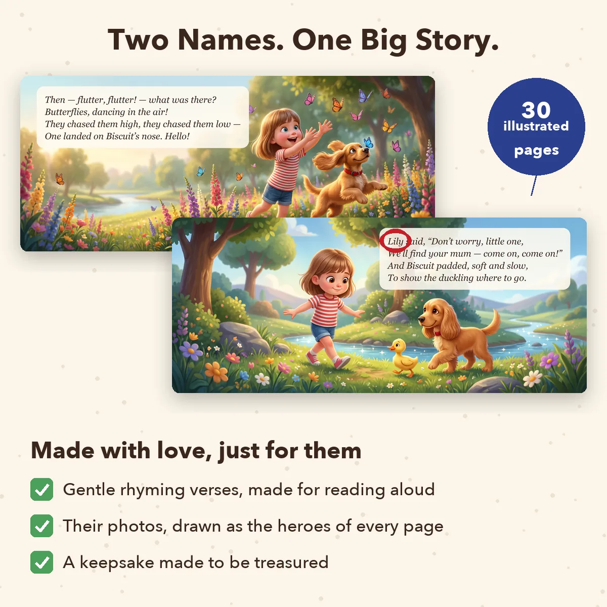 Personalised Pet Adventure Storybook